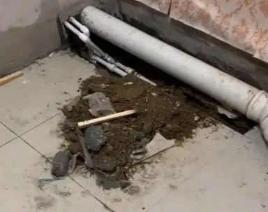 荆门卫生间漏水检测哪家好